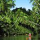 Sustainable ecotourism in the Philippines.