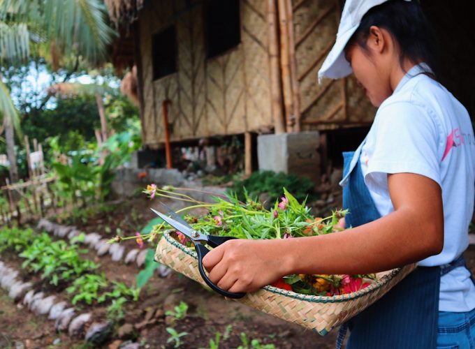 Sustainable ecotourism in the Philippines.